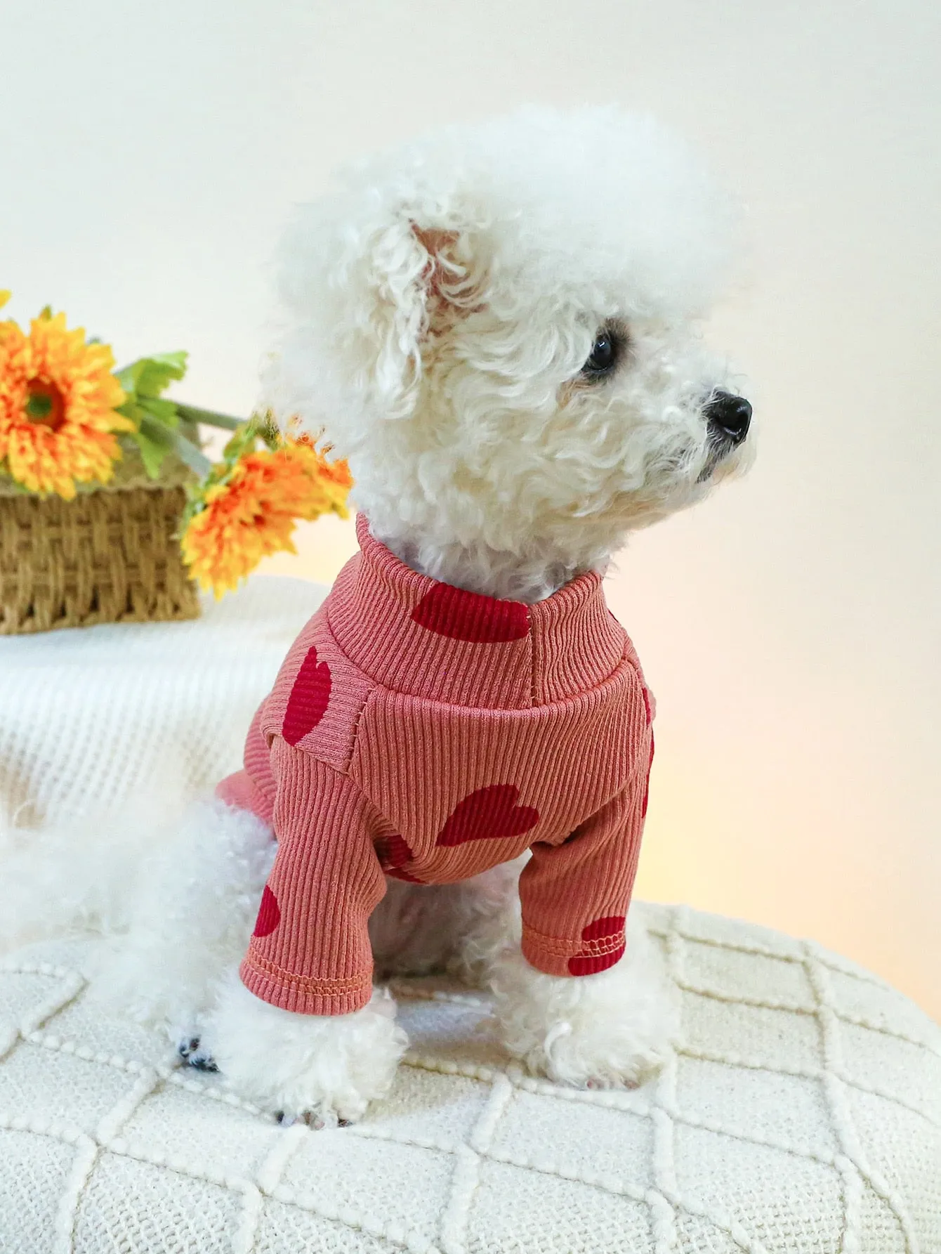 1pc Pet Clothes For Dogs And Cats, Small And Medium-sized, Two Legs, Hooded Sweatshirt For Home And Outdoor Activities