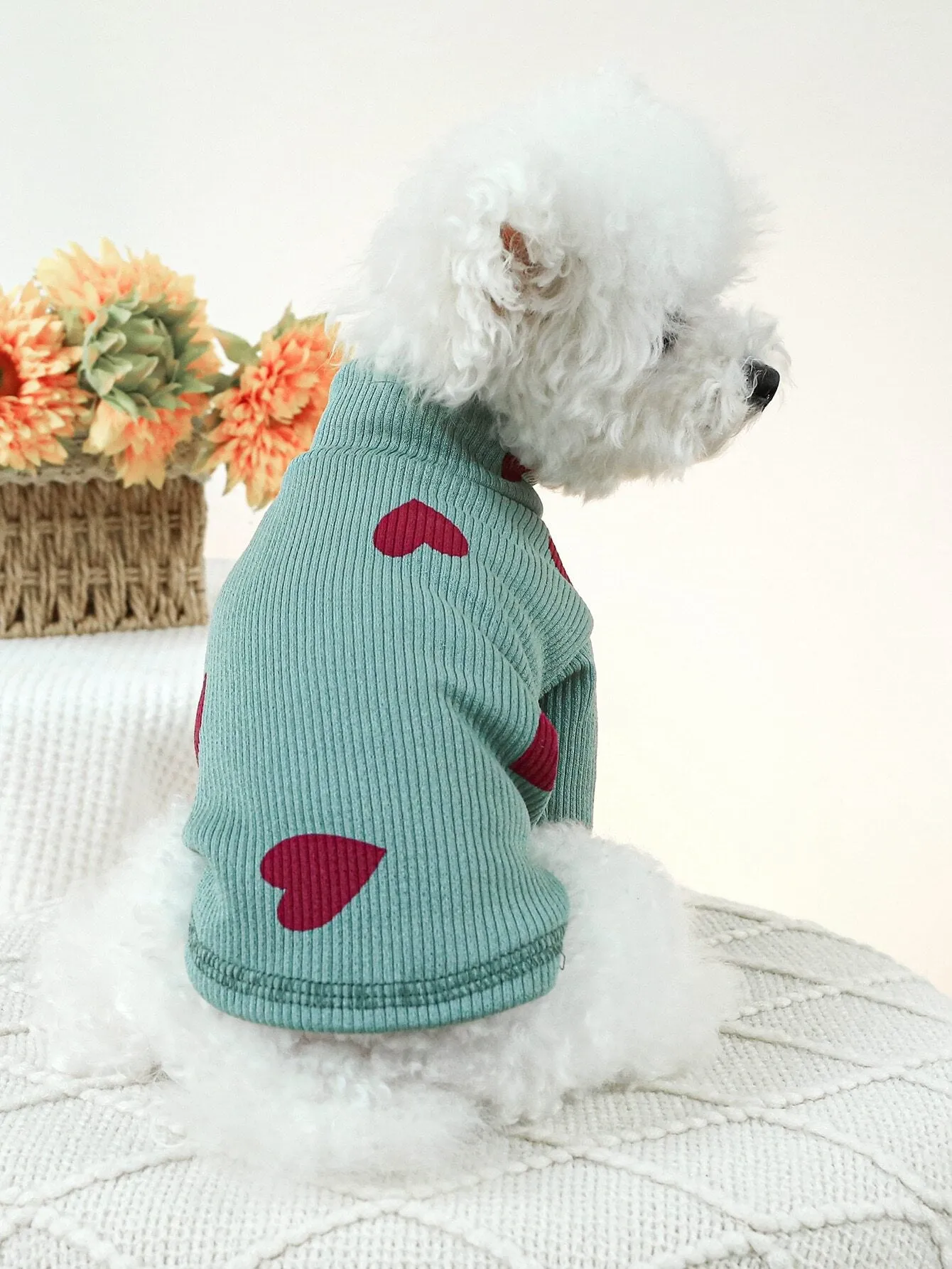 1pc Pet Clothes For Dogs And Cats, Small And Medium-sized, Two Legs, Hooded Sweatshirt For Home And Outdoor Activities