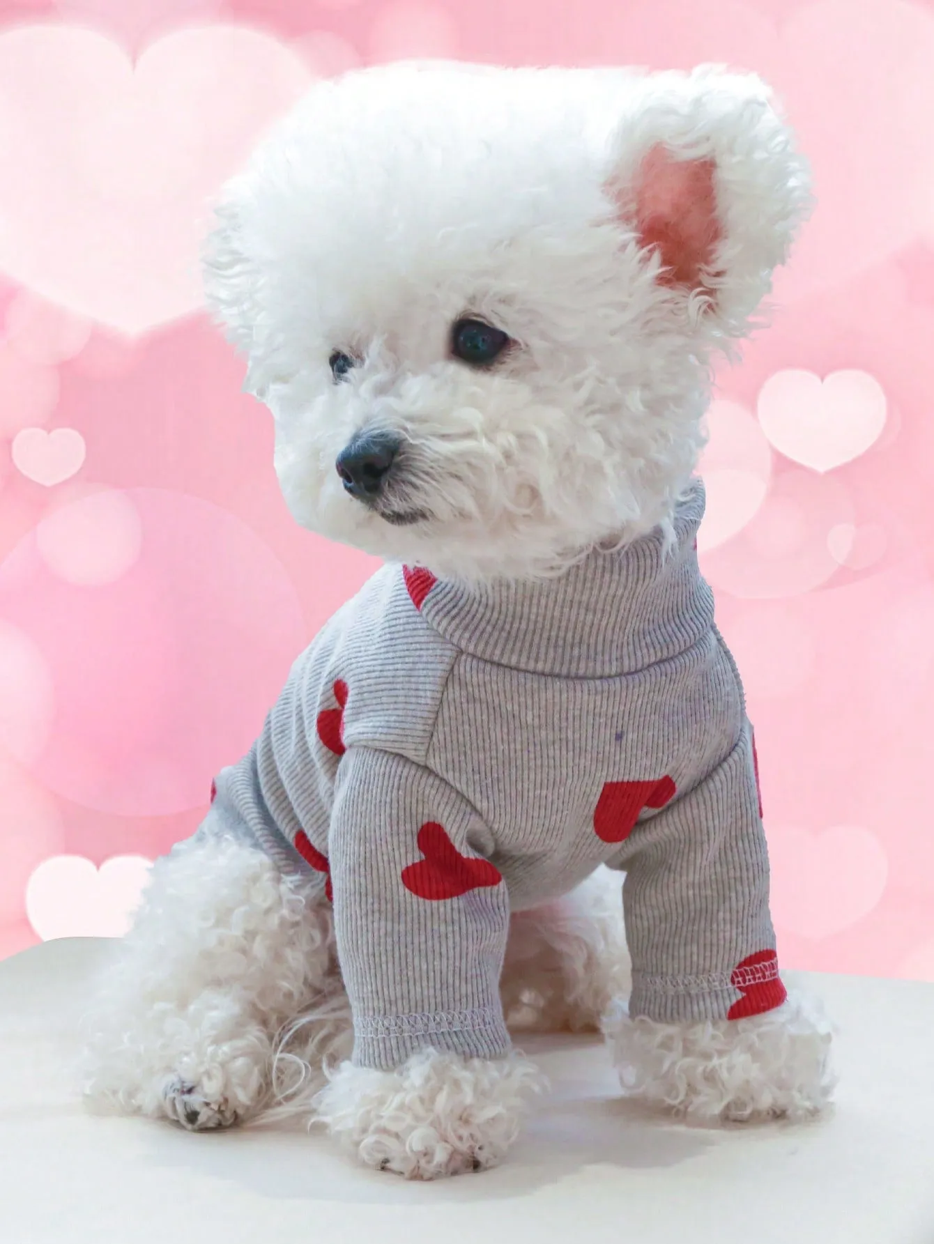 1pc Pet Clothes For Dogs And Cats, Small And Medium-sized, Two Legs, Hooded Sweatshirt For Home And Outdoor Activities