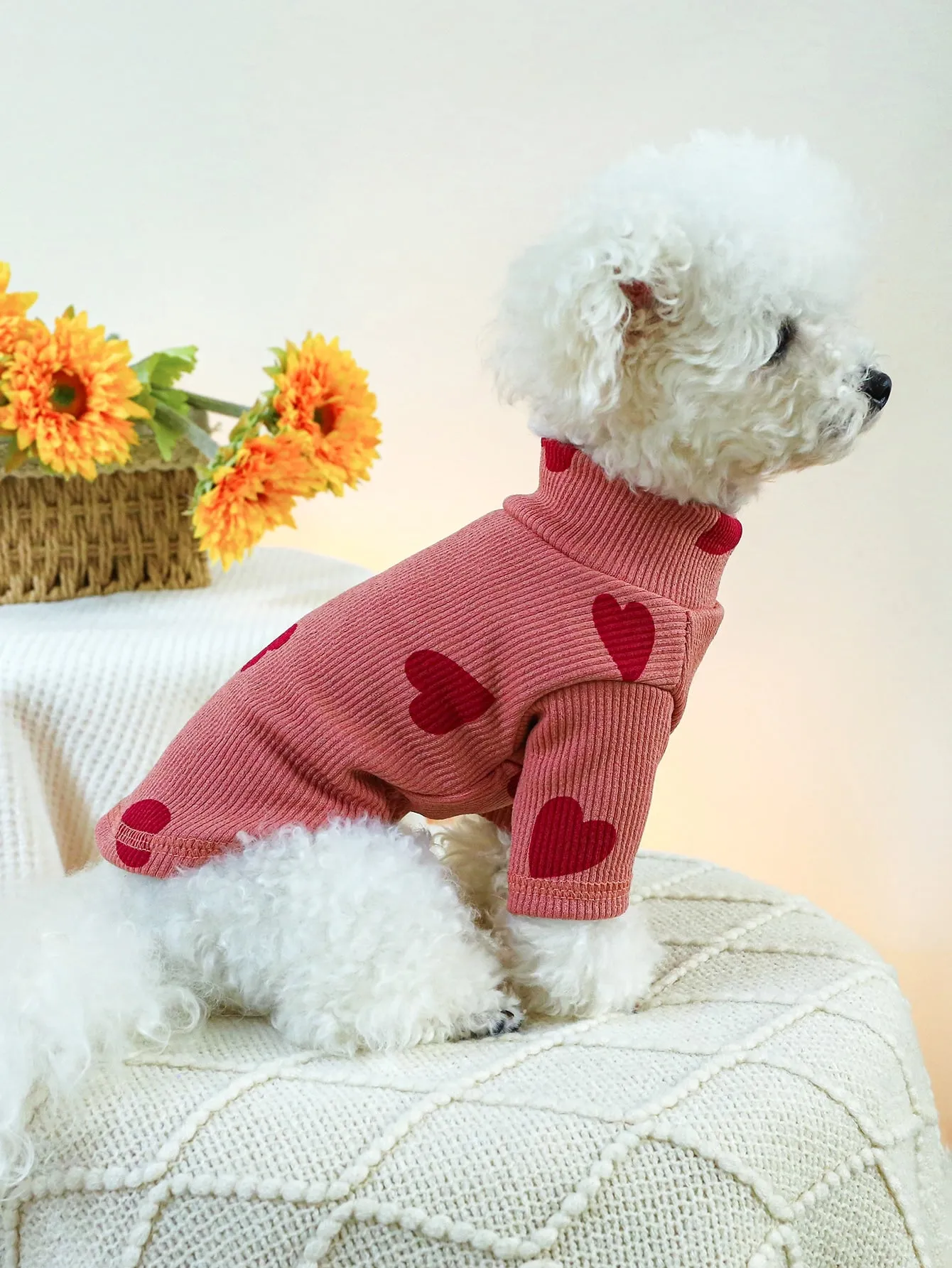 1pc Pet Clothes For Dogs And Cats, Small And Medium-sized, Two Legs, Hooded Sweatshirt For Home And Outdoor Activities