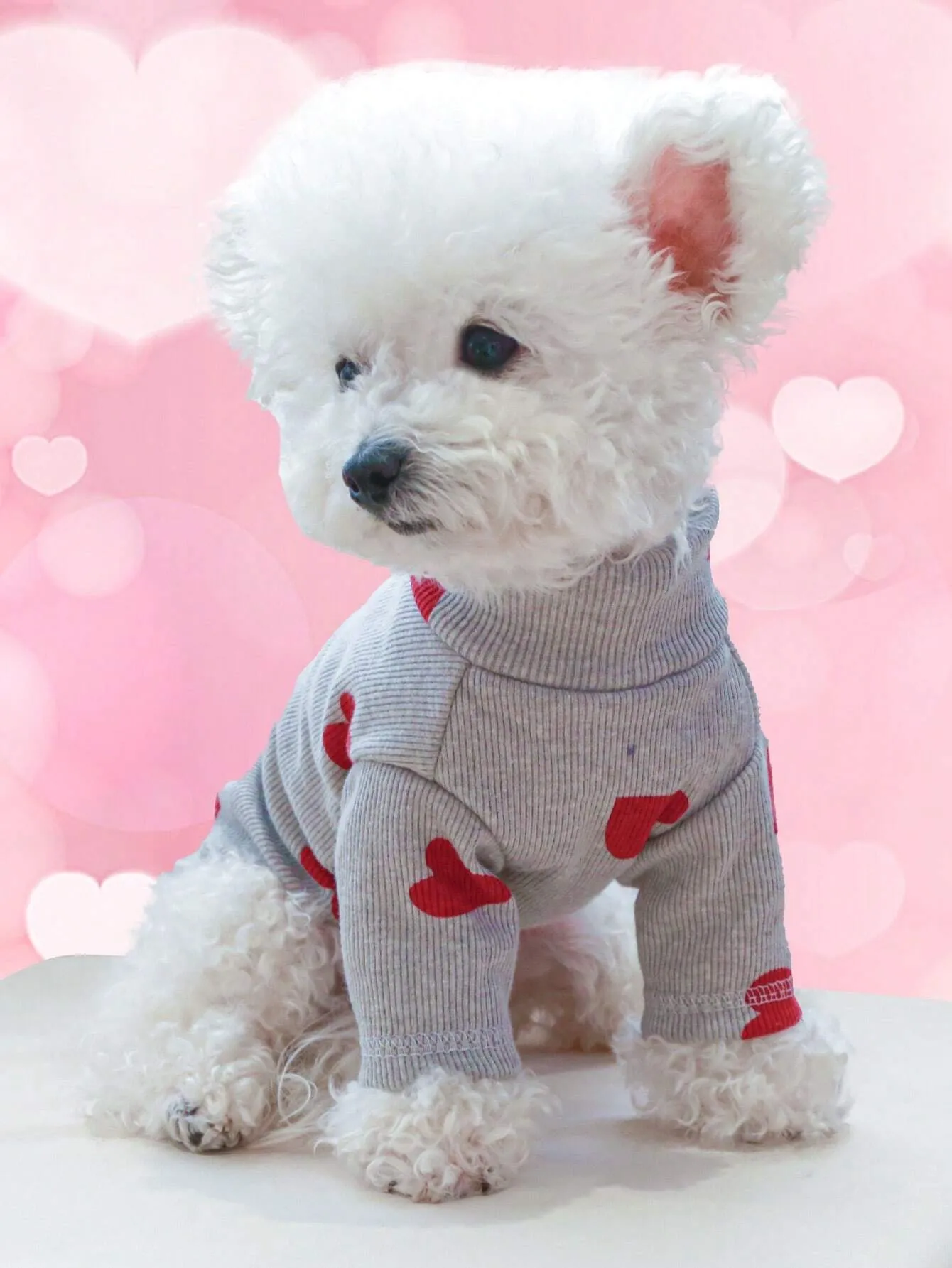 1pc Pet Clothes For Dogs And Cats, Small And Medium-sized, Two Legs, Hooded Sweatshirt For Home And Outdoor Activities