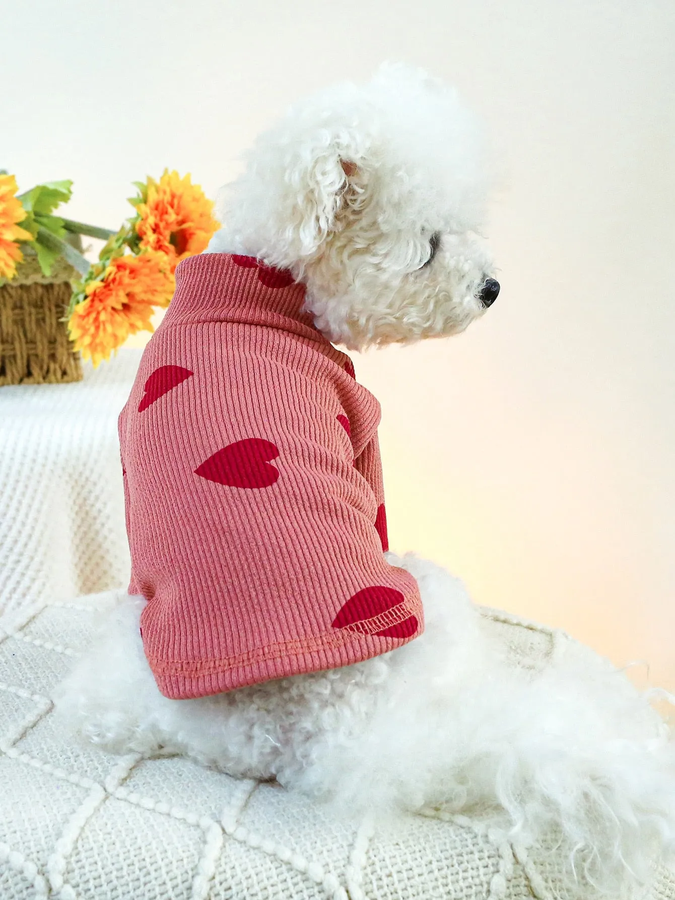 1pc Pet Clothes For Dogs And Cats, Small And Medium-sized, Two Legs, Hooded Sweatshirt For Home And Outdoor Activities